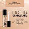 Camouflage Face Concealer