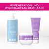 Regeneration und Wiederaufbau der Haare